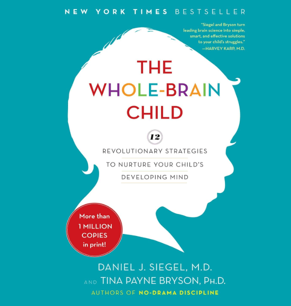 The Whole-Brain Child — A Gentle Guide to Raising Emotionally Intelligent Humans